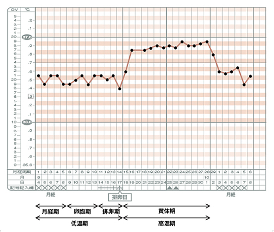 生理周期のグラフ